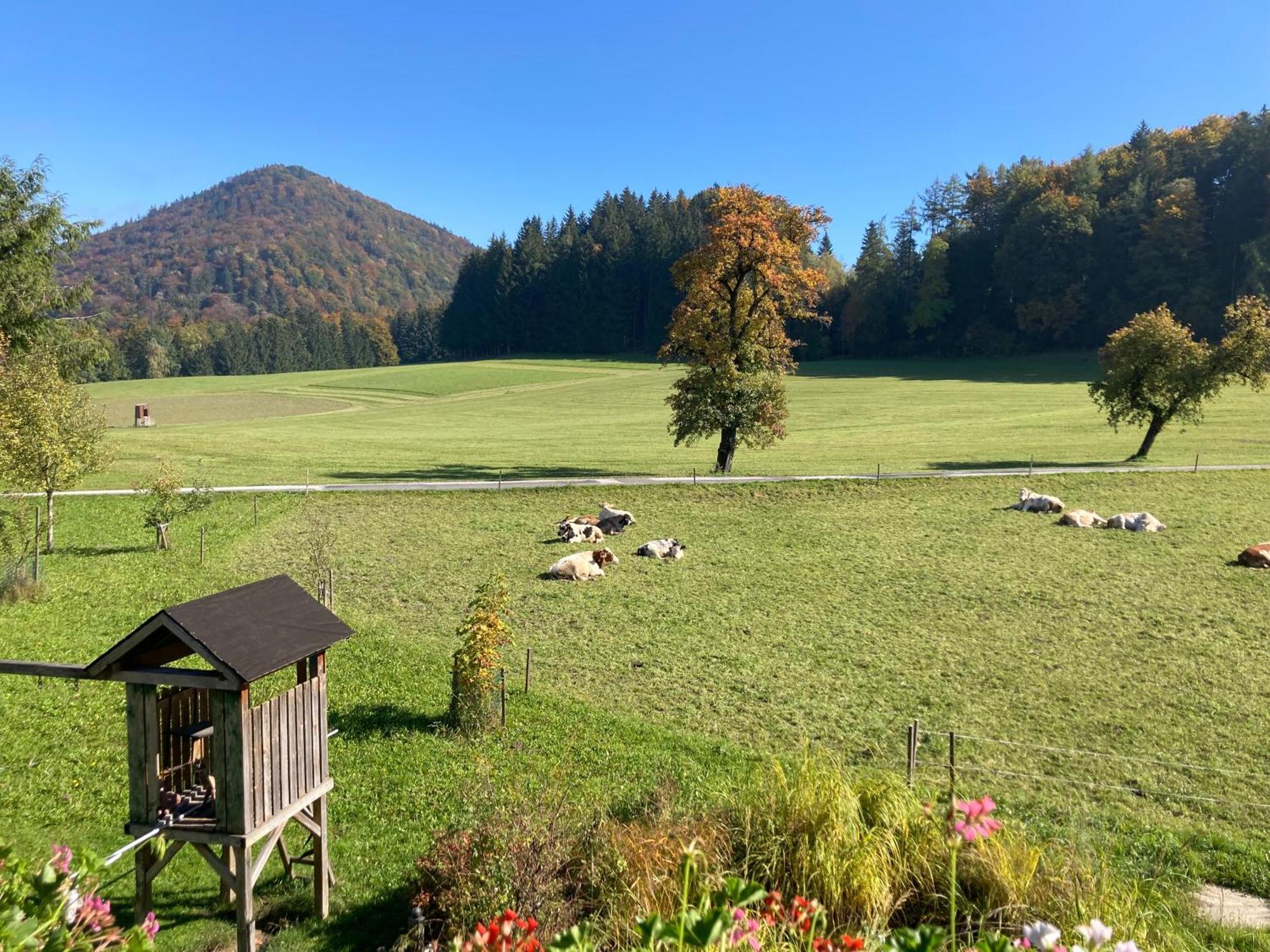 Obereggut Apartment *
