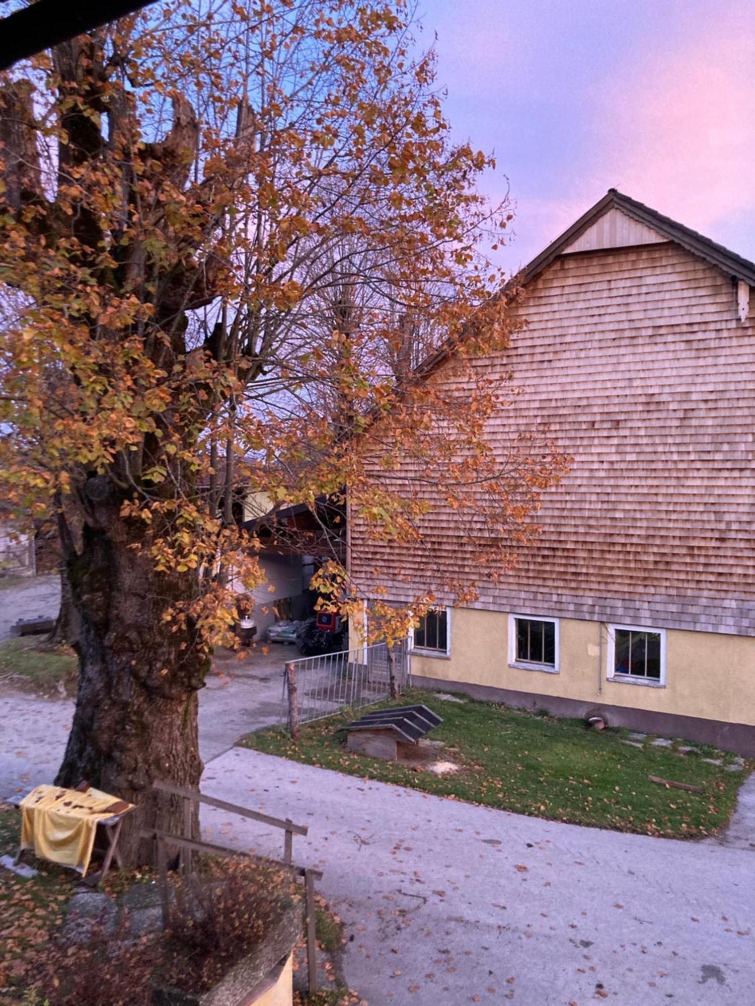 Obereggut Apartment