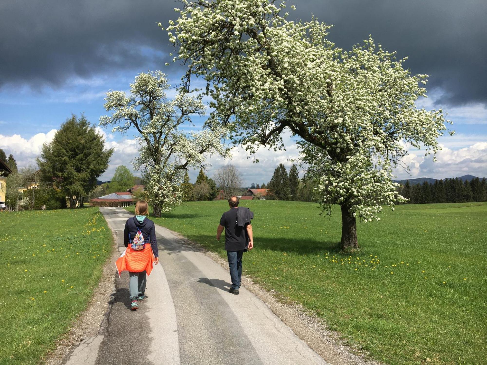 Apartmán Obereggut