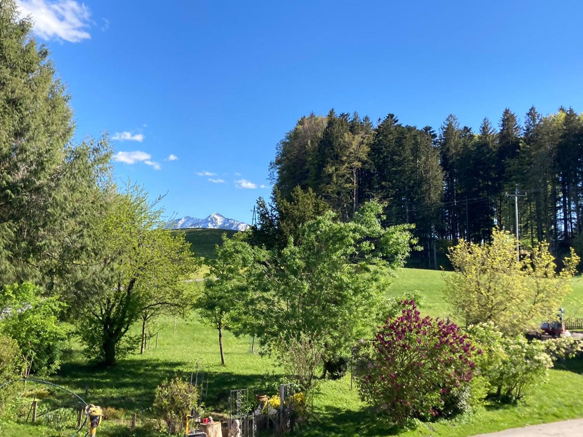 Obereggut Apartmán Hof bei Salzburg