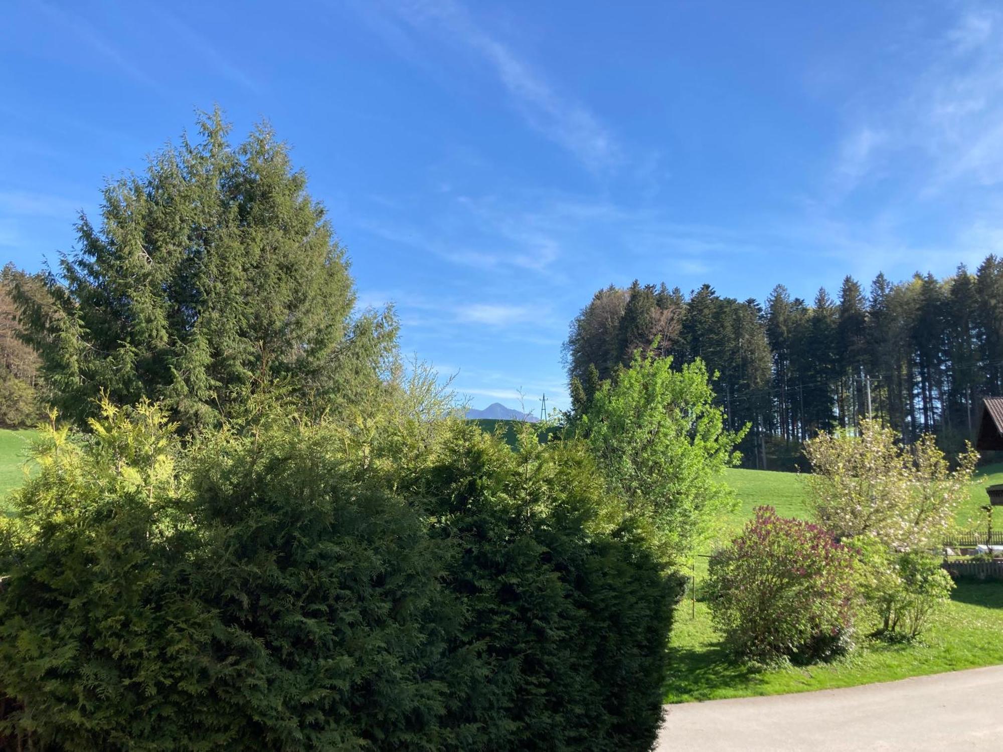 Apartment Obereggut Hof bei Salzburg