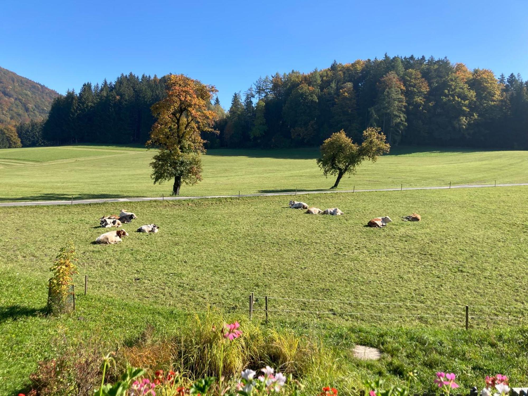 Obereggut * Hof bei Salzburg