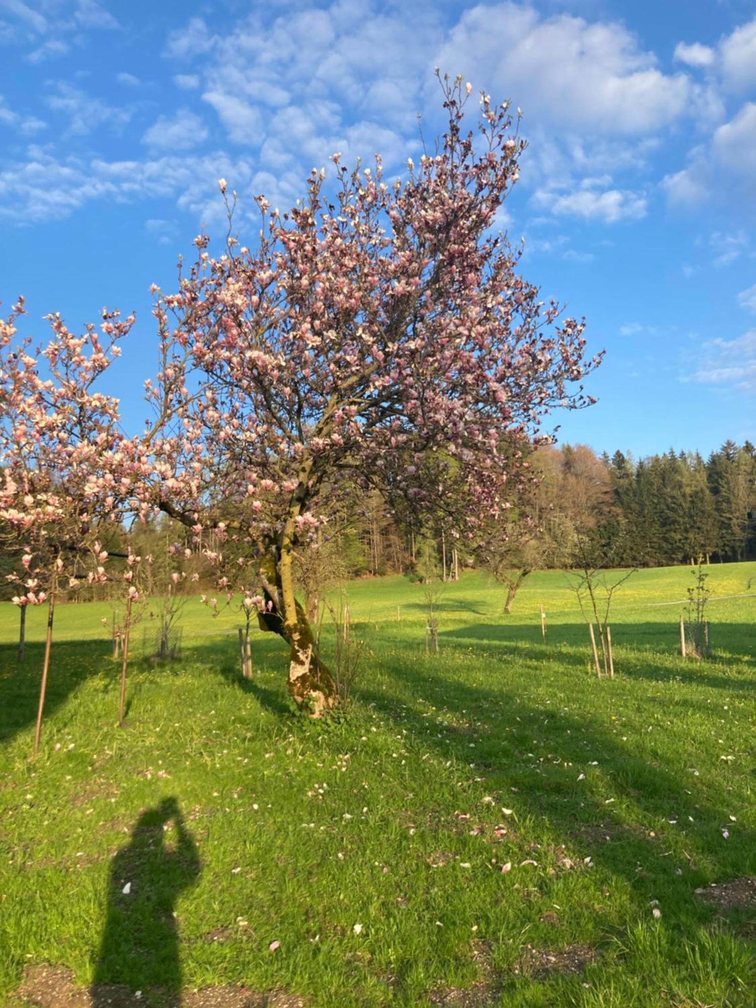 Obereggut Hof bei Salzburg